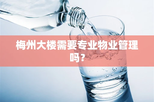 梅州大楼需要专业物业管理吗？