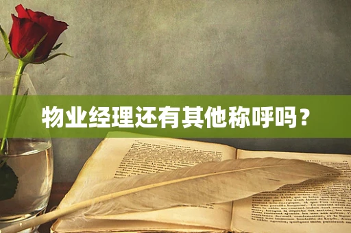 物业经理还有其他称呼吗？