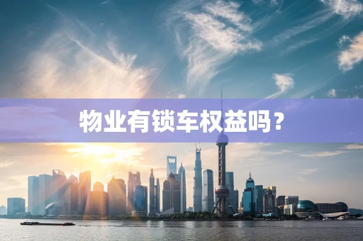 物业有锁车权益吗？