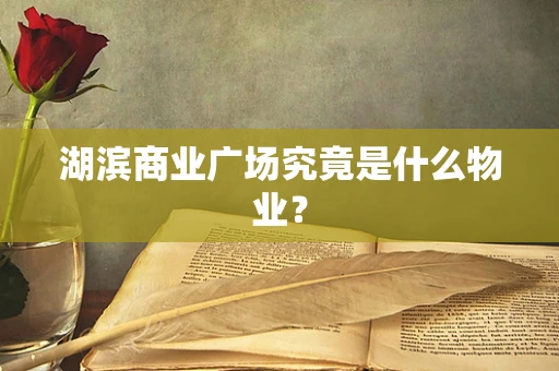 湖滨商业广场究竟是什么物业？