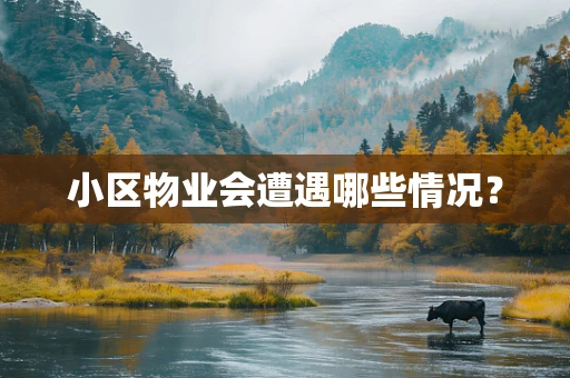 小区物业会遭遇哪些情况？