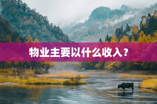 物业主要以什么收入？
