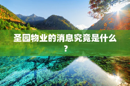 圣园物业的消息究竟是什么？