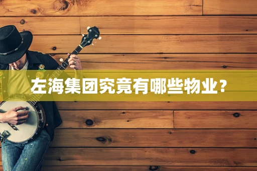左海集团究竟有哪些物业？