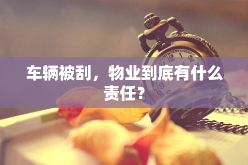 车辆被刮，物业到底有什么责任？