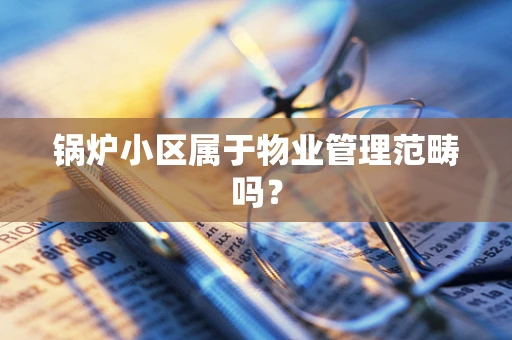 锅炉小区属于物业管理范畴吗？