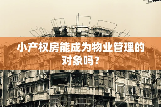 小产权房能成为物业管理的对象吗？