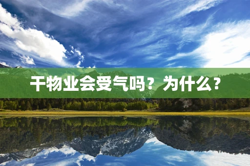 干物业会受气吗？为什么？