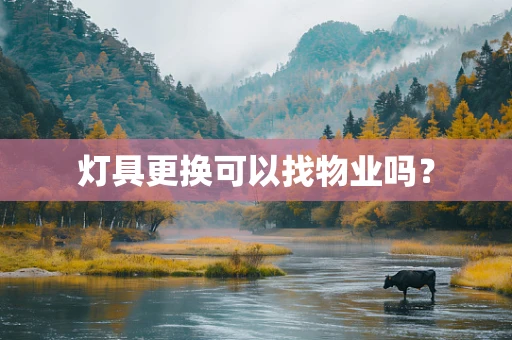 灯具更换可以找物业吗？