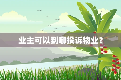 业主可以到哪投诉物业？