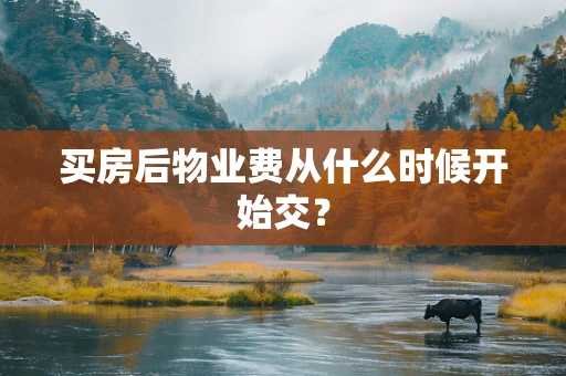 买房后物业费从什么时候开始交？
