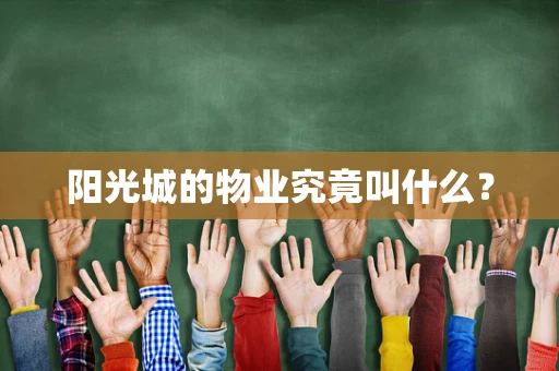阳光城的物业究竟叫什么？