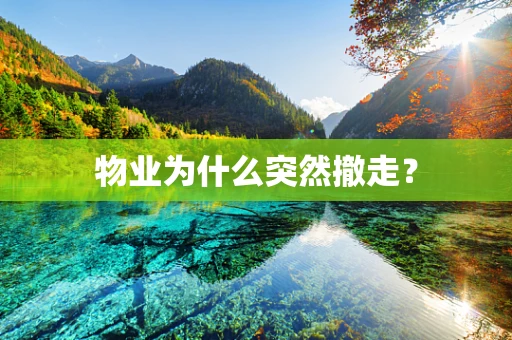 物业为什么突然撤走？