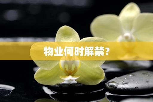 物业何时解禁？