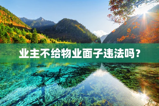 业主不给物业面子违法吗？