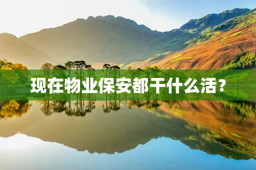 现在物业保安都干什么活？