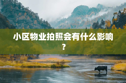 小区物业拍照会有什么影响？