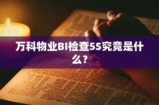 万科物业BI检查5S究竟是什么？