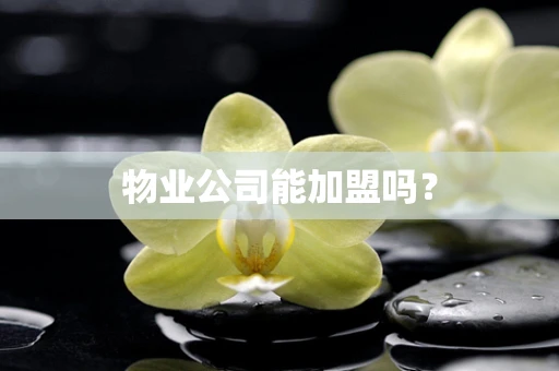 物业公司能加盟吗？