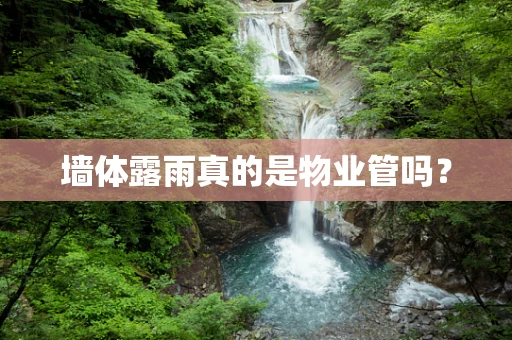 墙体露雨真的是物业管吗？