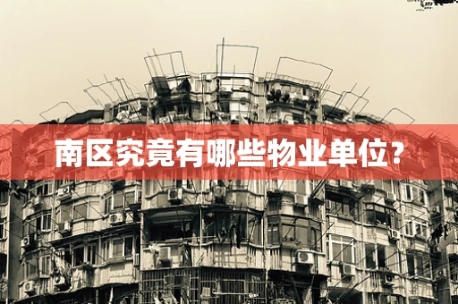 南区究竟有哪些物业单位？
