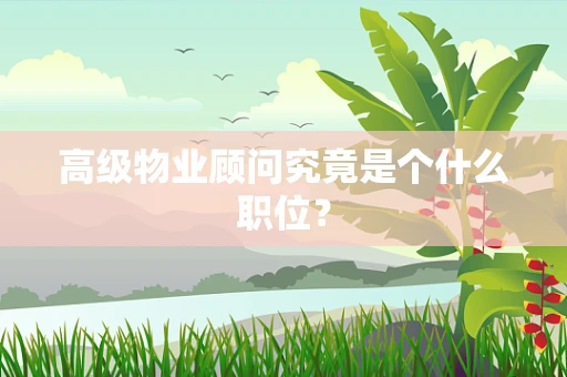 高级物业顾问究竟是个什么职位？