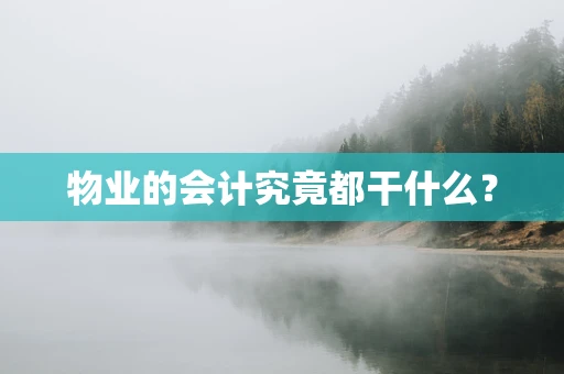 物业的会计究竟都干什么？