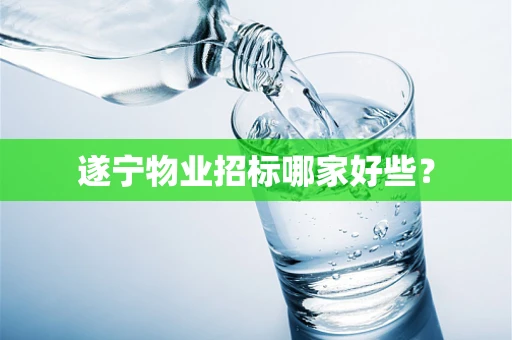 遂宁物业招标哪家好些？