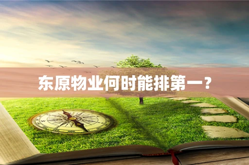 东原物业何时能排第一？