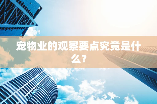 宠物业的观察要点究竟是什么？