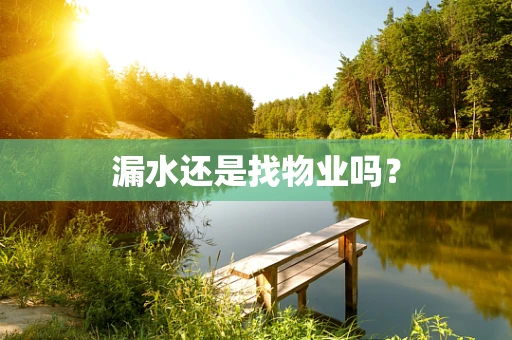 漏水还是找物业吗？