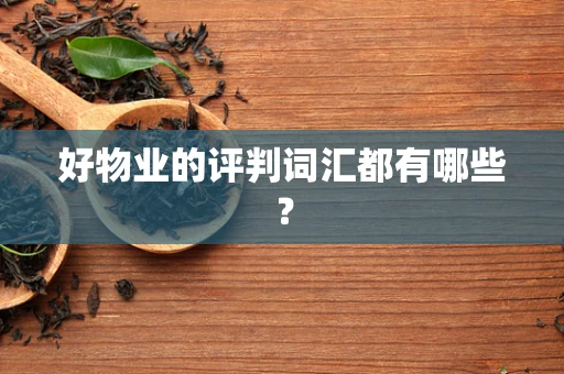 好物业的评判词汇都有哪些？