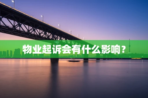 物业起诉会有什么影响？