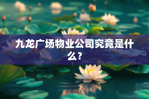 九龙广场物业公司究竟是什么？