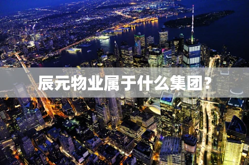 辰元物业属于什么集团？