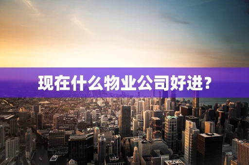 现在什么物业公司好进？
