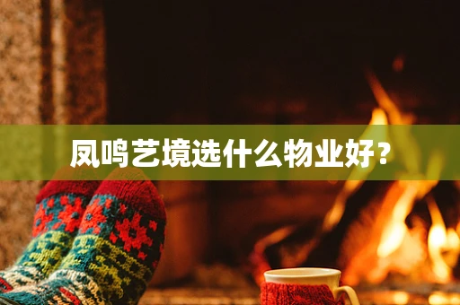 凤鸣艺境选什么物业好？