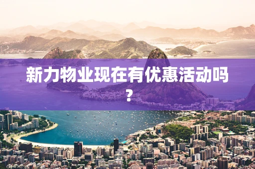 新力物业现在有优惠活动吗？