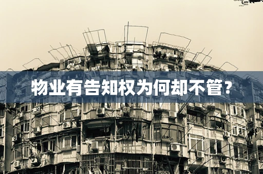 物业有告知权为何却不管？