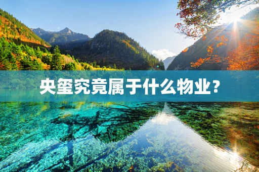 央玺究竟属于什么物业？