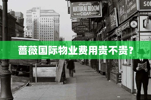 蔷薇国际物业费用贵不贵？
