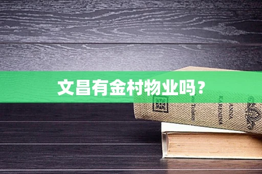 文昌有金村物业吗？