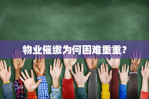 物业催缴为何困难重重？