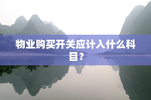 物业购买开关应计入什么科目？