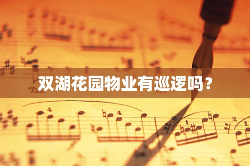 双湖花园物业有巡逻吗？