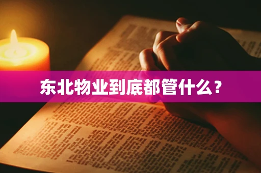东北物业到底都管什么？