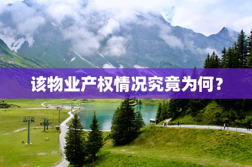 该物业产权情况究竟为何？