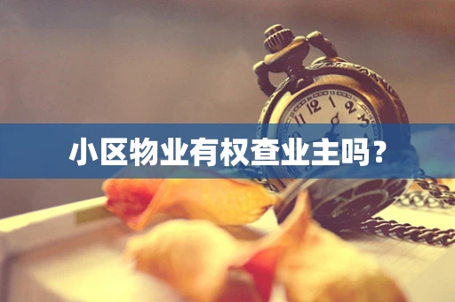 小区物业有权查业主吗？