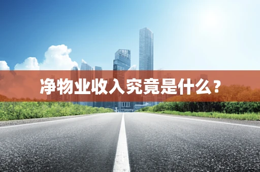 净物业收入究竟是什么？