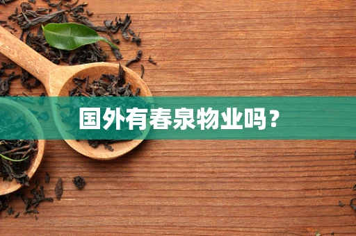 国外有春泉物业吗？